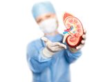 Damaged Kidneys Mean Your Entire Health Is At Risk: Dial A Doctor If You Notice These 10 Signs
