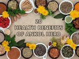 Have Ankol Herb At Your Home And Keep Scores of Health Problems Away