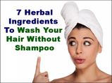 7 Herbal Ingredients To Wash Your Hair Without A Shampoo
