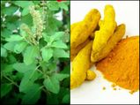 What Happens When You Drink Tulsi Water With Turmeric Every Morning? 