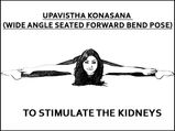 Upavistha Konasana (Wide Angle Seated Forward Bend Pose) To Stimulate The Kidneys
