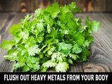 How To Flush Out Heavy Metals From Your Body