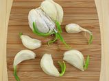 Never Throw Away Sprouted Garlic; It Has Amazing Health Benefits!