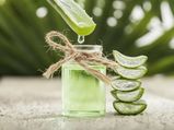 Use Frozen Aloe Vera And Derive Its Umpteen Health Benefits