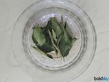 DIY: Curry Leaves Hair Mask For Itchy Scalp