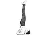 Here Are A Few Yoga Asanas That Help To Increase Height