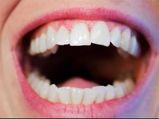 What Does The Shape & Number Of Teeth Indicate About Your Personality