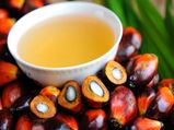 Who Should Consume & Who Should Avoid Palm Oil? 