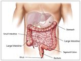 How Smoking Affects Digestive System?