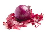Did You Know That Onion Peel Can Treat Hypertension & Obesity?