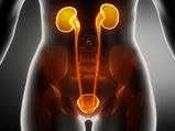 Scary Ways In Which You Can Be Damaging Your Kidneys Without Knowing 