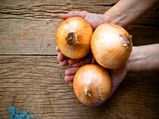 Rub Onion On Hand To Treat These Ailments; Also Check The Other Ways To Use Onions 