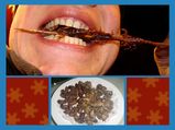 Edible Insects That People Actually Eat!