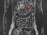 How To Improve Gut Health