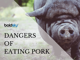 Dangerous Pig! 5 Health Risks of Eating Pork
