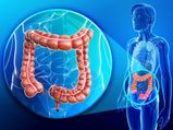 Research Finds How Gut Bacteria Prevents You From Losing Weight; Other Factors Affecting Weight Loss
