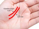 Do You Know Which Is Your Guardian Line On The Palm?