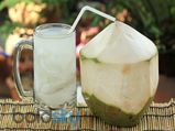 10 Reasons Why You Should Drink Coconut Water All Through The Year