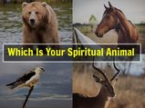 What Is Your Spiritual Animal Based On Your Date Of Birth