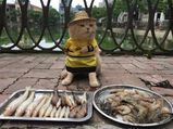 Cat Who Sells Fish In Vietnam Becomes The Latest Internet Sensation!!