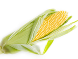 Corn Or Babycorn; Which One Is Healthier For You?