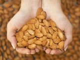 Do Almonds Help You Lose Weight?