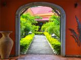 Garden Arch Styles That Transform Your Outdoor Space