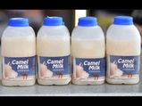 Milk That Is Rs. 3,000 A Litre Is Making Indians Happy! 
