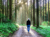 Health-boosting Benefits Of Forest Bathing Or Shinrin-yoku