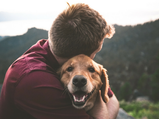 How Can Pets Improve Your Health? 