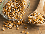 Health Benefits Of Eating Soaked, Sprouted, And Sour Grains