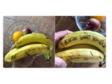 Hidden Messages On Bananas Have Left The Internet Crazy!