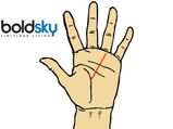 Career Lines In Palmistry Defined