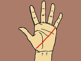 Signs On Your Palm That Define Your Career Choice