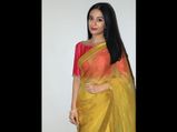 Amrita Rao Opts For A Classic Look With This Colour-Blocked Sari