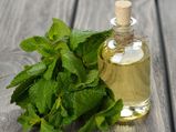 22 Fascinating Benefits Of Peppermint Oil For Health, Hair & Skin