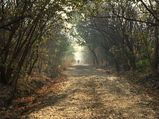 The Story Of Lubdhaka And Lord Shiva