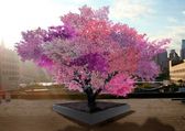 A Magical Tree Produces 40 Different Types Of Fruits