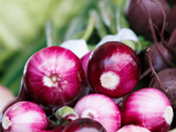 Onions: Types, Health Benefits & Recipes