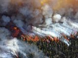 How Much Oxygen Do We Need To Survive?