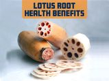 Lotus Root (Kamal Kakdi): Health Benefits, Nutrition And Recipe 