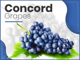7 Health Benefits Of Concord Grapes