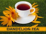 Dandelion Tea: 7 Health Benefits And How To Make It
