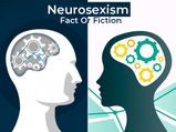 Neurosexism: Is It True That Men And Women Have Different Brains?