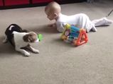 Viral: This Dog Becomes Parent For This Human Baby, Teaches Toddler How To Crawl