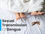 Sexually Transmitted Dengue Fever: World's First Case Reported In Spain