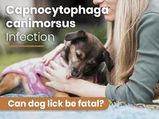 Capnocytophaga canimorsus Infection: Causes, Symptoms, Risk Factors And Treatment 