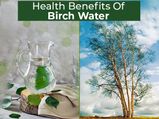 8 Amazing Health Benefits Of Birch Water