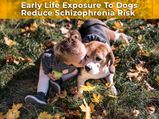 Exposure To Dogs At A Young Age May Lessen The Risk Of Developing Schizophrenia