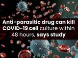 Anti-parasitic Drug Can Kill COVID-19 Cell Culture Within 48 Hours, Study Finds